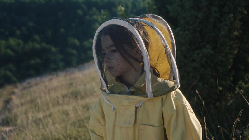 Fotograma de 20.000 especies de abejas