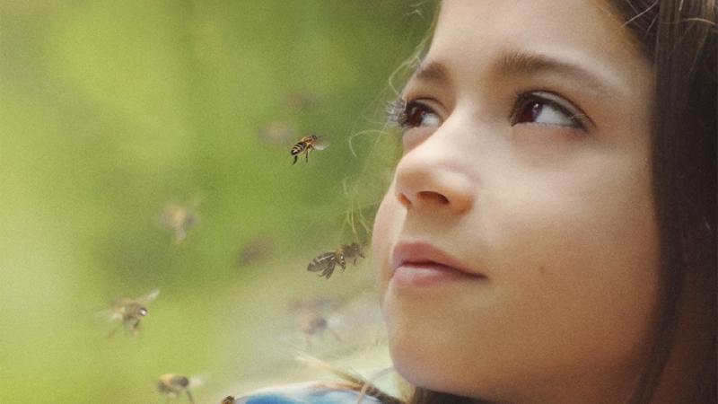 Fotograma de 20.000 especies de abejas